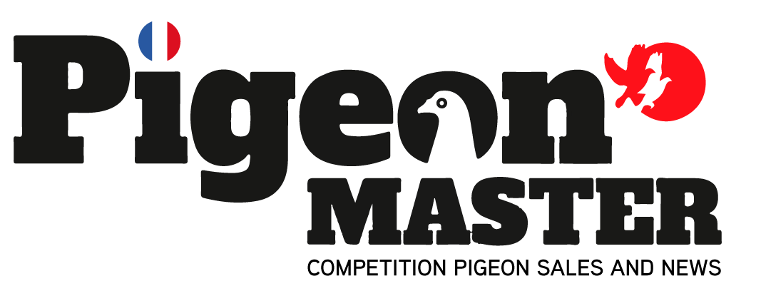 Pigeon Master